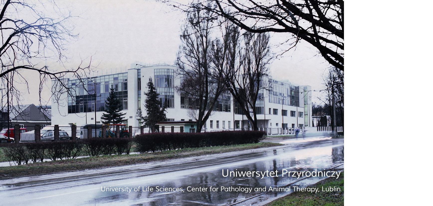 Uniwersytet Przyrodniczy Centrum Patologii i Terapii Zwierząt
